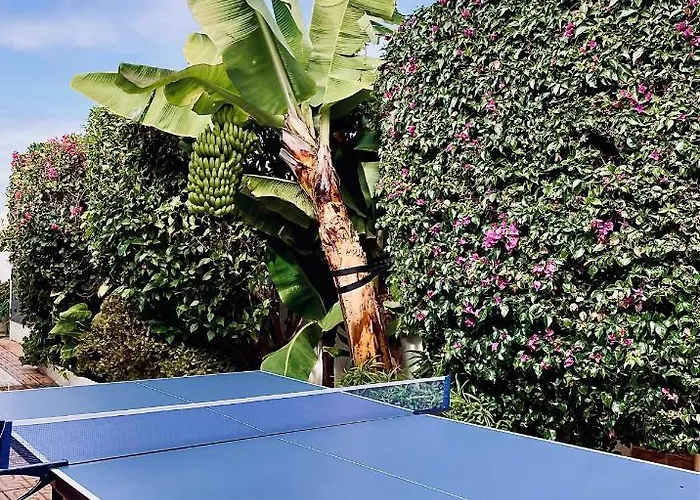 Relaxing Heated Pool Luxurious Views Massage Villa Santa Úrsula