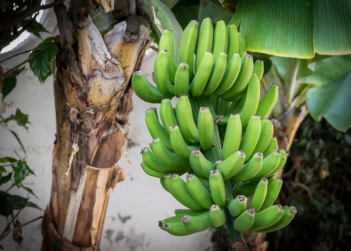 Relaxing Heated Pool Luxurious Views Massage ヴィラ *